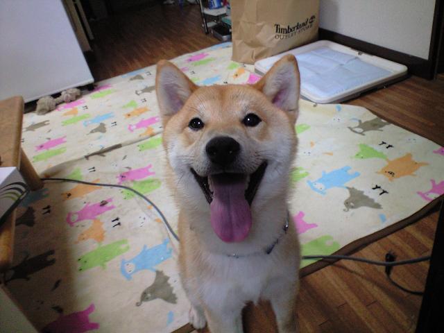 nophoto